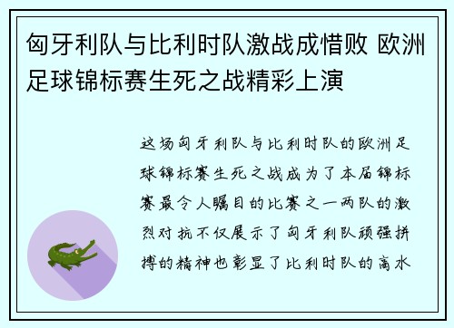 匈牙利队与比利时队激战成惜败 欧洲足球锦标赛生死之战精彩上演