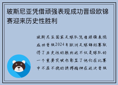 玻斯尼亚凭借顽强表现成功晋级欧锦赛迎来历史性胜利